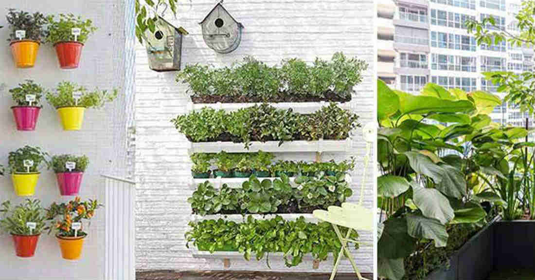 eco-friendly garden